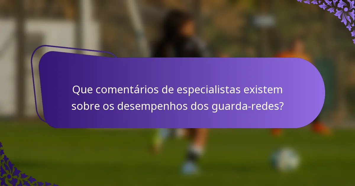 Que comentários de especialistas existem sobre os desempenhos dos guarda-redes?